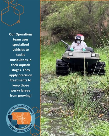 Not all vector control happens on smooth streets! 🌿💧 Meet one of our specialized vehicles, designed to navigate wetlands, marshes, and challenging terrain where mosquitoes love to breed. Our Operations Specialists use this equipment to apply targeted larvicide treatments in aquatic environments that would otherwise be impossible to access. By treating mosquitoes in their larval stage, before they can fly, we prevent thousands of potential biters from ever emerging! This is what next-level mosq