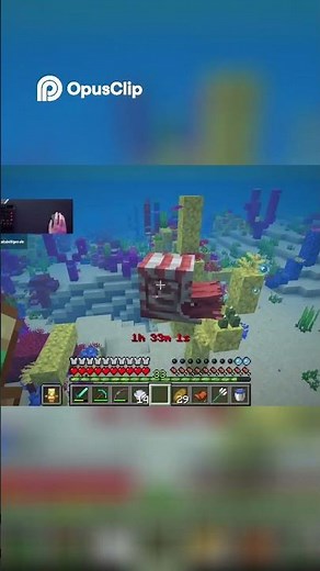 Minecraft Nautilus Zähmen, Droppen