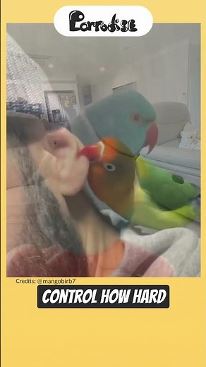 What makes parrot beaks so strong? 🤯