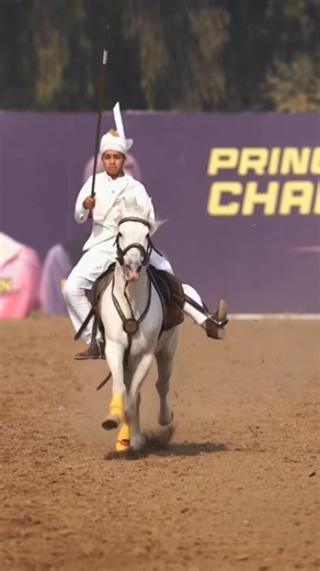 Young rider #animal #shorts #nezabazi #horse