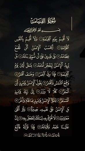 سورة القيامة 🤍... #قران #محمد_الفقيه #qu_ran_n #اللهم_صلي_على_نبينا_محمد #quran ya Allah 👆