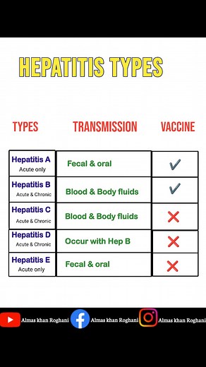 Hepatitis types and transmission | Almas Khan Roghani