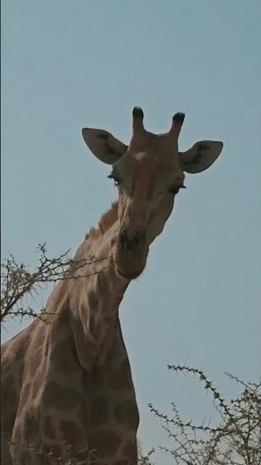Un assaggio di Avventura in #Namibia. #avventurenelmondo