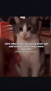 memes_and_us on Instagram: "Ewww💅🎀😂😂 (they were in*) #meme #memes😂 #meandthetrauma #memesdaily #laughoutloud #memeaccount #memestagram #laughfactory #funnymeme #memes #memeschile #trendingreels #trendingmemes❤️ #meandthetrauma #trendingmemes❤️ #instameme #instalove #trendingreels #laughfactory #laughteristhebestmedicine #laughter #laughing #newmemes #newpost😍"