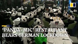 Panda plush toys knock back Corona beers as German restaurant bears Covid-19 ‘panda-mic’ lockdown
