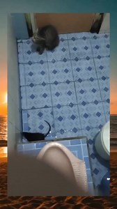 27K views · 1.4K reactions | Make your own MEME with MEME Maker App -> https://onelink.to/mdmvl | MAYBE DANK MEME V | Facebook