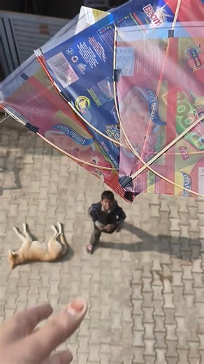 3 Patang free Diya chhote bacchon ko 🪁 Patang wala video #kite #patang #kitevideo