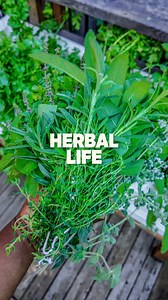 7.6K views · 1K reactions | Herb is life! Having an herb planter offers numerous benefits, including convenient access to fresh herbs for cooking, pest and disease control, and the ability to grow herbs even in limited spaces. If you’re not doing an herb planter yet, here’s your sign to start one. #daily #gardening #herbs #homegrown | Plantedinthegarden | Facebook