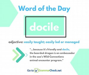 2.3K views · 107 reactions | Use "docile" in your own sentence: | English Grammar | Facebook