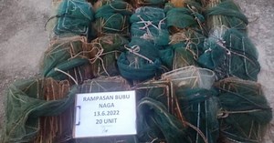 MMEA seize 20 sets of banned China prawn net traps | New Straits Times