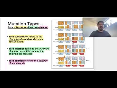 Large scale mutations and Factors impacting mutations