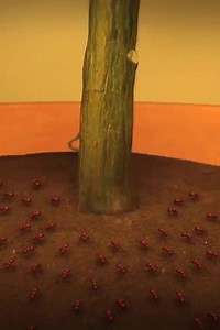 45K views · 2K reactions | “let me rest” | Cheer Up | Facebook