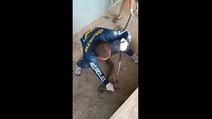 Rescue team catch five huge pythons hiding in pensioner’s home