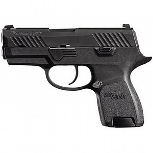Sig Sauer P320 Nitron | 40 S&W | Subcompact | Free Portable Pistol Safe