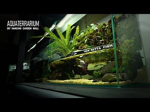 DIY Betta Hanging Moss Wall with Homemade Waterfall Aquascape - No Additional Equipment Needed