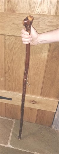 Blackthorn Hiking, Walking Stick, One Piece Stick 43 Inches Long - Etsy Canada