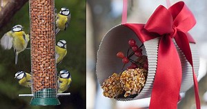 Umíte v mrazech správně krmit ptáky? 8 rad, co nasypat do krmítka!