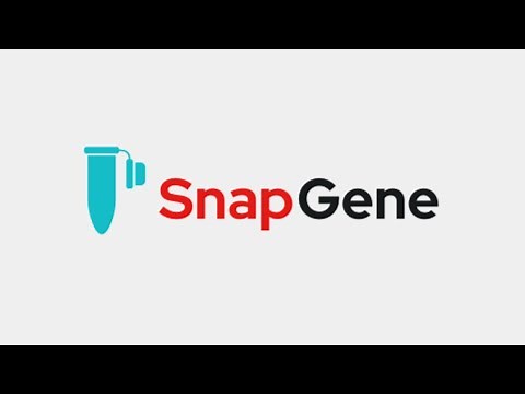 Plan, Visualize and Document Your Everyday Molecular Biology Procedures with SnapGene