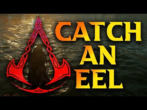 Assassin's Creed Valhalla How To Catch An Eel