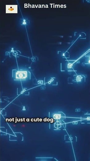 Shiba inu, ecosystems #yt #youtubeshorts #shorts