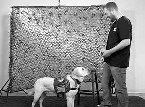 8.4K views · 197 reactions | He was blown up by a suicide bomber in Afghanistan and lived to tell his story... and now Steve's service dog is one of his most important allies. Operation Companion helps make these kinds of stories a reality. Will you spread the mission? | Soldier Solutions LLC | Facebook