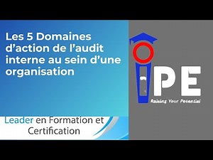 AUDIT INTERNE: LES 5 DOMAINES D'ACTION CLES AU SEIN DUNE ORGANISTION