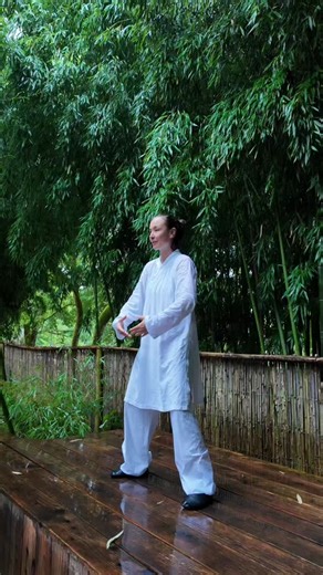 反 者 道 之 动， Le renversement est le mouvement de la Voie, Reversing is the movement of the Way, 弱 者 道 之 ⽤。 La souplesse est l’usage de la Voie. Suppleness is the use of the Way. 天 下 万 物 ⽣ 于 有， Sous le ciel les dix mille êtres naissent de l’être, Under heaven the ten thousand beings are born from being, 有 ⽣ 于 无。 L’être naît du non-être. Being is born from non-being. 老子，道德经，第四十章 Lao Zi, Dao De Jing, Ch.40 #laozi #zhanzhuang #daoistcultivation | LoAn 誠鳳 Cheng Feng