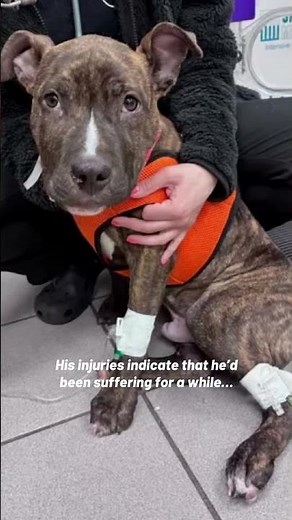 Trooper's Success Story [STORY BELOW]