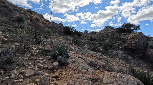 The payroll convoy that rode straight into a carefully planned trap