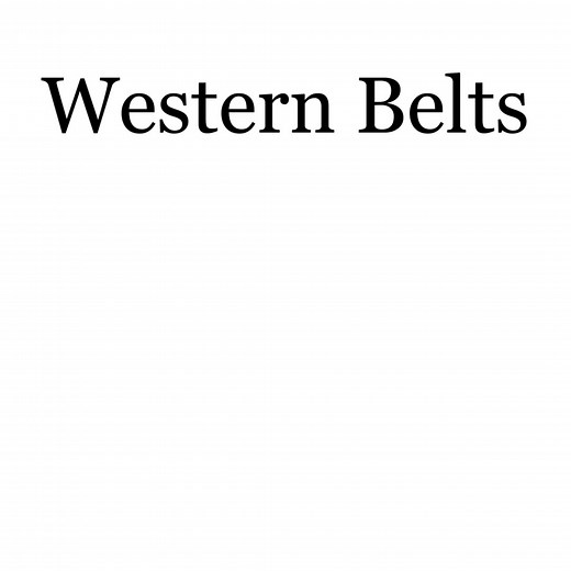 16 reactions | Mix and match the gift you know they will love. Order their favorite leather belt or knife sheath: https://www.oldtradingpost.com/3d-belt-company-belts-c-408_98_752/ #leatherbelts #westernwear #fullgrainleather #oldtradingpost | Old Trading Post | Facebook