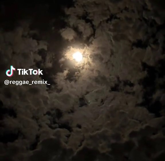 Explore the Energetic World of Reggae Funk Music