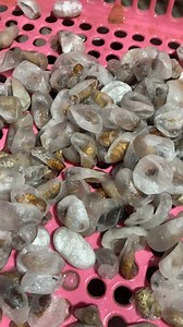 Ito ang itsura ng cocoon ng silkworm kapag pinoproseso na ang hibla nito. | GMA Public Affairs