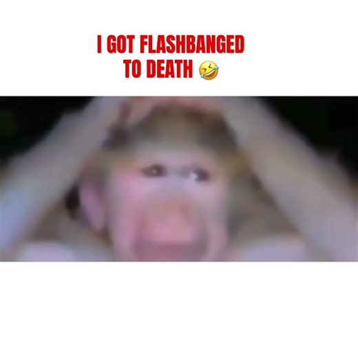 I Think We Know What Happened 💀 - Delta Forcd