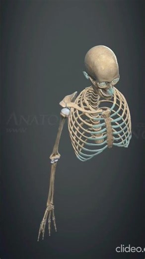 shoulder joint abduction or adduction #shoulderjointabductionandadduction #anatomy #abduction #viral