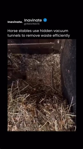 Inavinate on Instagram: "Most people see a simple chore. Equestrians see a multi-million-dollar investment in operational efficiency. What you’re looking at is a centralized vacuum system — industrial-grade engineering built directly into the design of a luxury stable. Instead of hauling heavy wheelbarrows, workers sweep used bedding and waste straight into floor-level inlets. A powerful vacuum motor, housed in a separate utility area to reduce noise and dust, pulls the material through undergro