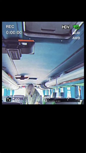 Exploring the Bus Interior with Unique Features