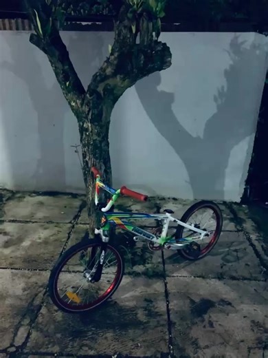 Exploring the Semarang Region: On The Road Adventures