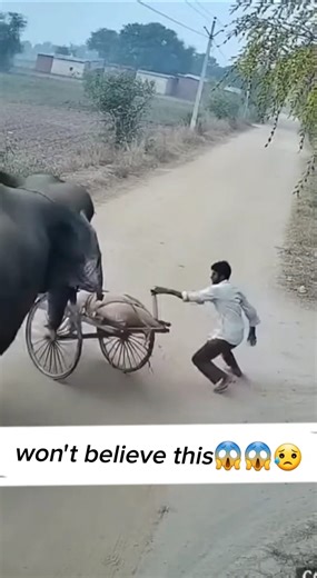 Elephant Charges at Man! | Caught on CCTV | Realistic Animal Attack😱😣😥