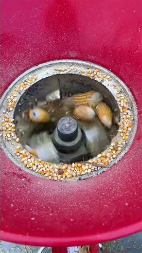 WA: +8615617887747 Wood Pellet Mill, Biomass Pellet Mill, Pellet Mill Production Line