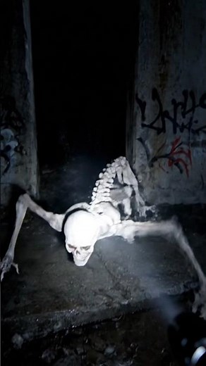 The Rake Caught on Camera at Night | Real Creepy Creature