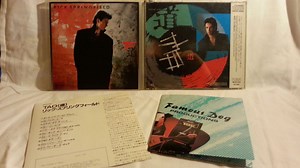 Rick Springfield - Tao