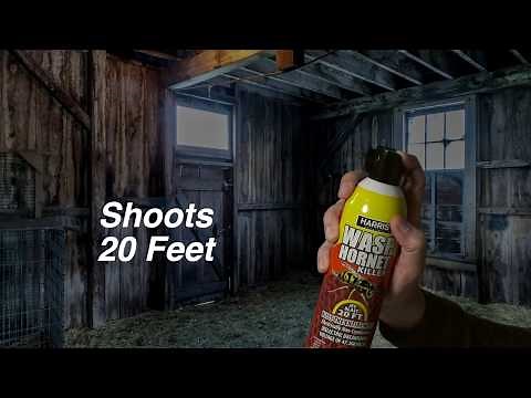 Harris Wasp & Hornet Killer Spray