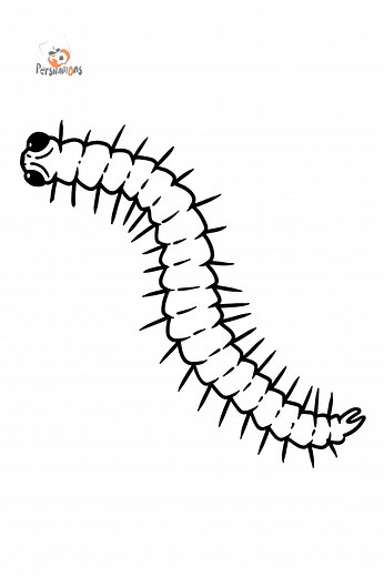 Centipede coloring page ♥ Print and Online Free!