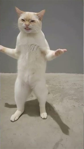 😲😲😲😲🙈🙈😂😂😂😂😂😂