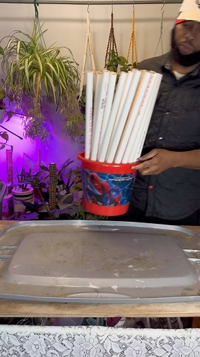 4.7K views · 69 reactions | Stackable Sphagnum Moss Pole!!! Moss poles mimic the texture of moist, mossy bark and provide physical support for your plants to grow aerial roots and climb upward. Moss poles also offer a way to train widely growing plants into an upright narrow form to fit better in small spaces. #plants #indoorplants #indoorplantsdecor #houseplants #urbanjungle #urbangarden | Foraging Fosters | Facebook