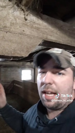 #farmer #farmlife #farmtok #foryoupage #farming_in_eden #farm #farmproject #farmer #barnrestoration #smallraptorspecies #structuralrepair