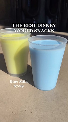 One of these may not be like the others…BUT it’s still on our best #DisneySnacks list to try! #distok #disneysnack #disneyfood #disneysnacks #disney