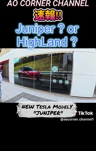 新型テスラモデルY ジュニパー試乗レビューと特別仕様車