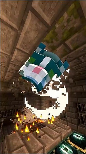 Minecraft OIIA Cat 🐱