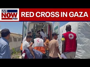 Red Cross highlights efforts in Gaza amid humanitarian crisis | LiveNOW from FOX